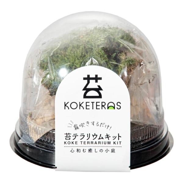 水作 ソコニワ 苔テラリウムキット いつでもふかふか小さなお庭 手軽におうちでコケテラスが作れるキットです。 苔とモデリングブロック、サンド、ケースがセットになっています。 フタ付きだから湿度管理がラクラク、霧吹きするだけで苔を育てることができます。 --原産国-- 日本 --原材料-- 天然苔（乾燥）、発泡樹脂、天然軽石 --内容物-- 乾燥苔（大きさによって1〜3個） モデリングブロック 天然フォームサンド 本体ケース（フタ、台座） 取り扱い説明書 --サイズ-- 本体：約幅200×奥行100×高さ150mm ・リニューアルに伴い、商品パッケージ・内容が変更となる場合があり、画像・内容と異なる場合がございます。 ・ご購入のタイミングにより、品切れとなる場合がございます。その際は別途ご連絡させていただきます。