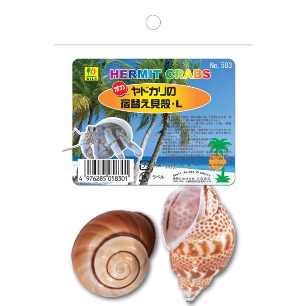 三晃商会 オカヤドカリの宿替え貝殻 L 天然の造形が美しい巻貝の貝殻。大きなLサイズ。 種類も様々に用意されていますので、チョイスも楽しみな宿替え用の貝殻です。 ケースの中のオブジェや、エサ入れとしても利用できます。内容量は大きさによって変動する場合があります。 ※天然の貝殻を使用しておりますので色や模様、サイズにばらつきがあります。 また汚れや傷や欠片程度の欠けがある場合がございます。 ・リニューアルに伴い、商品パッケージ・内容が変更となっており、画像・内容と異なる場合がございます。 ・ご購入いただいたタイミングにより、お品切れの場合がございます。その場合は別途ご連絡させていただきます。