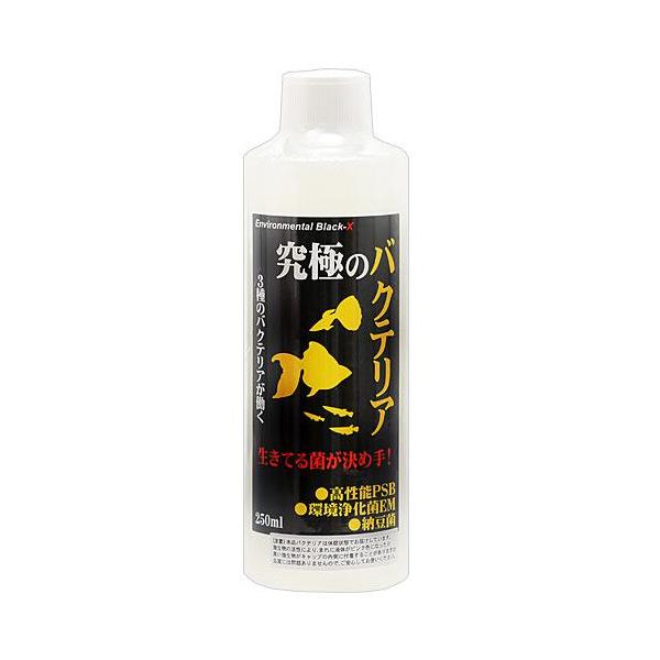 B-blast 究極のバクテリア 250ml 魚の排泄物やエサの食べ残しから発生するアンモニアなどを三種の菌の働きで強力に分解浄化します。 生物ろ過を促進し、バクテリアバランスを整え水質を安定化させます。 腸内有効細菌の働きで消化吸収を助け、魚の免疫力をアップします。 水10Lに対して、10mlが基本使用量です。 ---対象--- 観賞魚、熱帯魚 ・リニューアルに伴い、商品パッケージ・内容が変更となっており、画像・内容と異なる場合がございます。 ・ご購入いただいたタイミングにより、お品切れの場合がございます。その場合は別途ご連絡させていただきます。