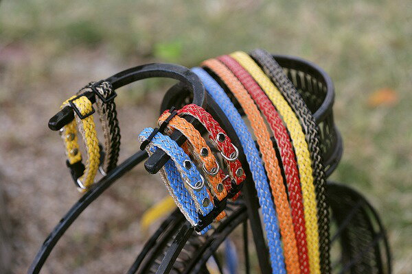 ★数量限定【リード 】メッシュリード　S