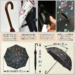 晴雨兼用レディース傘 濡れにくく日傘にもなる大きめ70cm傘のおすすめランキング わたしと 暮らし 晴雨兼用レディース傘 濡れにくく日傘にもなる大きめ70cm傘のおすすめランキング わたしと 暮らし
