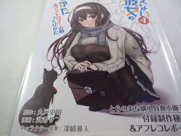 【非売品】冴えない彼女の育てかた 恋するメトロノームのつくりかた 4巻 小冊子 とらのあな限定特典