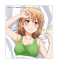 やはり俺の青春ラブコメはまちがっている。完 描き下ろしトレーディング色紙 第6弾 一色いろは スポーツウェア(3)