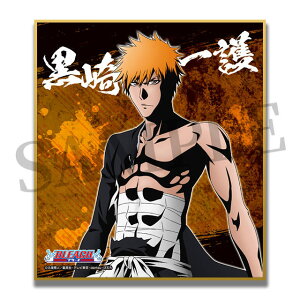 【新品】ブリーチ BLEACH WEBくじ 第2弾 Eclipse of the Soul. D賞 ミニ色紙 D-1 黒崎一護