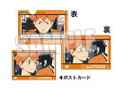 ハイキュー!! TO THE TOP トレーディングミニクリアファイル ポストカード付き Vol.3 日向翔陽 単品