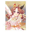 ウマ娘 プリティーダービー クリアファイル コパノリッキー 東京メガイルミ2023 コラボver.