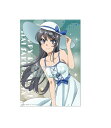 【新品】青春ブタ野郎はバニーガール先輩の夢を見ない 桜島麻衣 Happy Birthdayくじ 2021 B賞 描き下ろしA3クリアポスター B-2 描き下ろし...