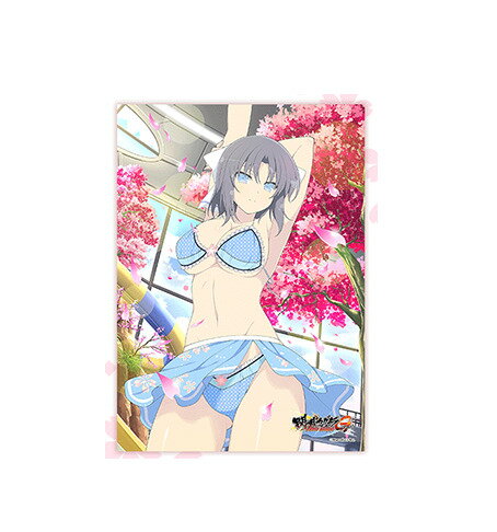 【新品】くじコレ 閃乱カグラ NewWave Gバースト 第4弾 スプリングブロマイドくじ 死塾月閃女学館 ブロマイド賞 銀塩ブロマイド 2L判 26 雪泉 4