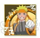 NARUTO ナルト 疾風伝 ミニ色紙コレクション 応援団ver. うずまきナルト グッズ