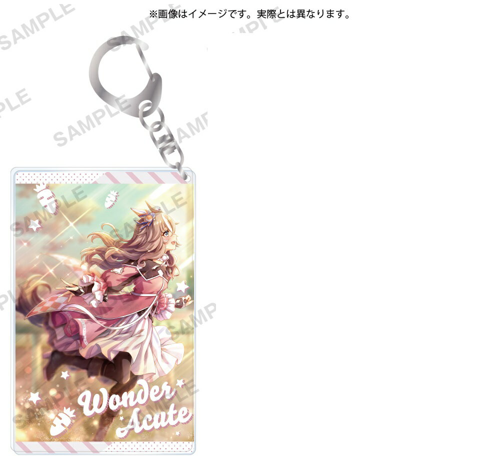 ウマ娘 プリティーダービー キャラリウムアクリルキーホルダー vol.4 ワンダーアキュート キーホルダー..