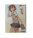 とある科学の超電磁砲S 御坂美琴 ブロマイド 電撃G's magazine ゲーマーズ 特典