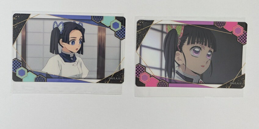 神崎アオイ 栗花落カナヲ 鬼滅の刃 トレーディングクリアカード 柱稽古編 鬼滅 グッズ