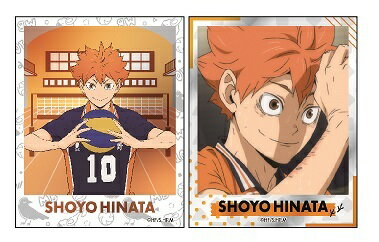 ハイキュー!! フォト風メタルステッカーコレクション 日向翔陽 ユニフォームイラスト ＆ 場面写 B 2枚セット