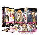 スキップビート! コンプリート DVD-BOX アニメ TV版 全巻セット すきっぷびーと 仲村佳樹 花とゆめ 少女漫画【新品】