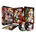 学園黙示録 HIGHSCHOOL OF THE DEAD 全巻 DVD アニメ 全12話 300分 がくえんもくしろく ハイスクール オブ ザ デッド【新品】