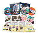 終物語 /おわりものがたり DVD+Blu-Ray アニメ パート1 TV版 オワリモノガタリ 西尾維新 ライトノベル 青春怪異小説 ファンタジー ギフト プレ...
