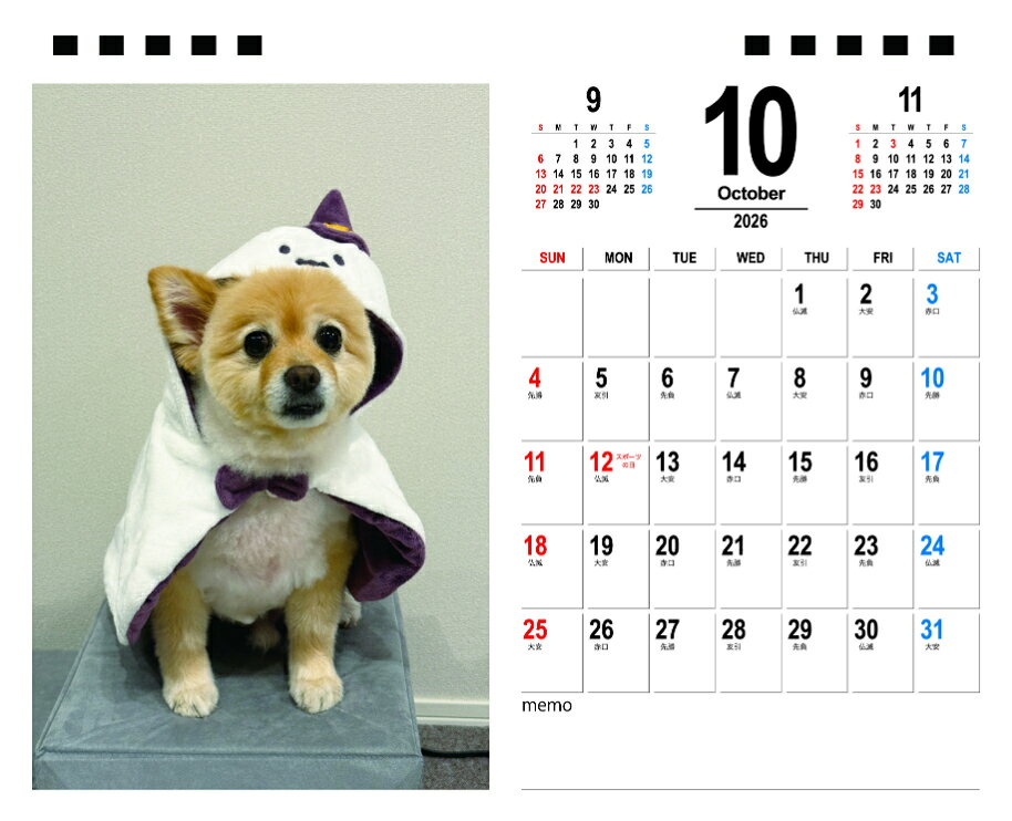 ��ͽ������� �ݥ��˥���Υݥ᤯�� �� 2026ǯ ���Ⱦ�� �������� TA26345