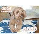 【予約販売】 トイプードル犬のNONO 2024年 壁掛け カレンダー KK24101