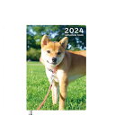 【予約販売】 柴犬 小夏 2024年 A5 スケジュール帳 AF24107