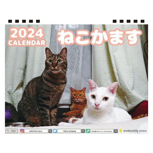 【予約販売】 猫のねこかます 2024年 卓上 カレンダー TC24116