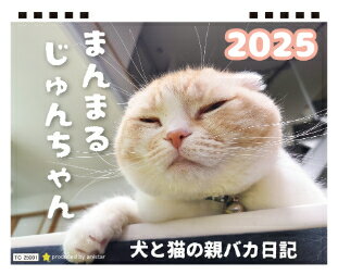  猫のいろはちゃん 2024年 ポケットサイズ スケジュール帳 PO24127