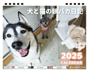  猫のおこめちゃん 2024年 ポケットサイズ スケジュール帳 PO24128