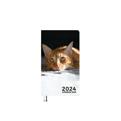 【予約販売】 猫のぱんくん 2024年 ポケットサイズ スケジュール帳 PO24130