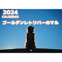 【予約販売】 ゴールデンレトリバー犬のマル 2024年 壁掛け カレンダー KK24146