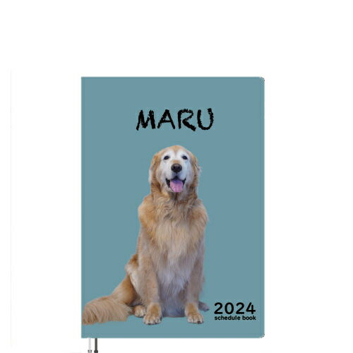 ゴールデンレトリバー犬のマル 2024年 A5 スケジュール帳 AF24148