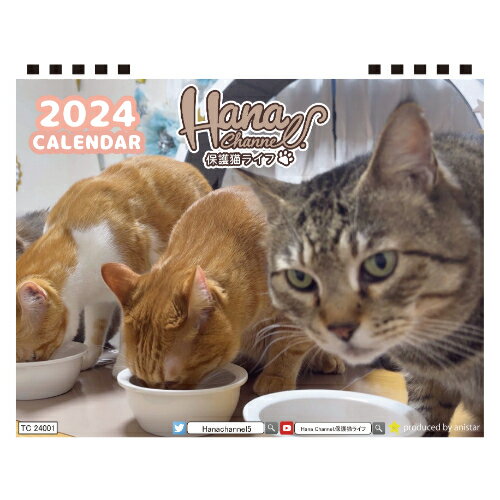 【予約販売】 Hana Channel 保護猫ライフ 2024年 卓上 カレンダー TC24152