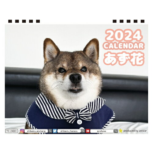  柴犬のあず花 2024年 卓上 カレンダー TC24016