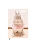 【予約販売】 うさぎのコガラナ天パのうさハムch 2025年 A5スケジュール帳 A525171
