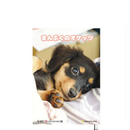 【予約販売】 ミニチュアダックス犬 まんぷくのオケッツ A5 ノート帳 No24171 2