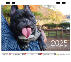  コーギー犬と猫のちい むう ととろ 2024年 卓上 カレンダー TC24002