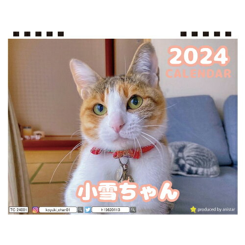 楽天ANISTAR【予約販売】 猫の小雪ちゃん 2024年 卓上 カレンダー TC24200
