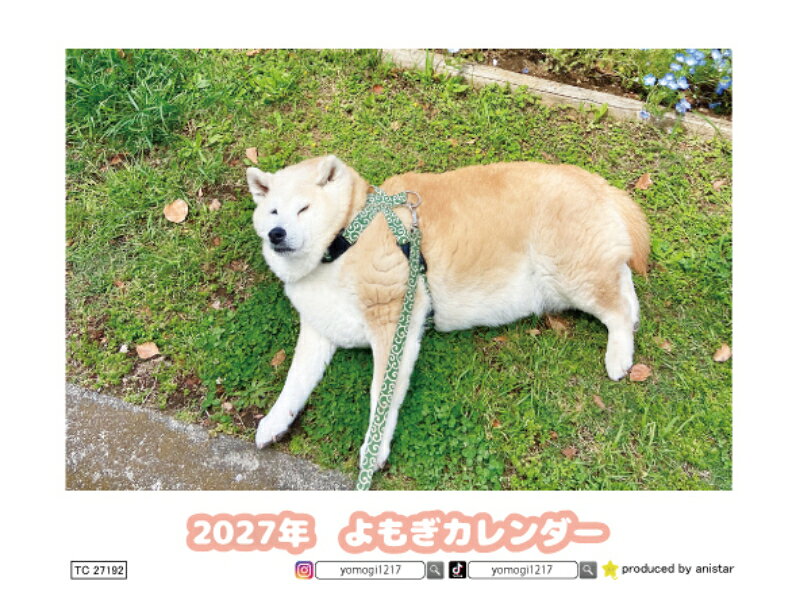 【送料無料】卓上カレンダー 【大きさ】　大きさ　180mm×145mm 【送料は無料】となります。 【包装】 価格を最小限まで抑えてファンの方に提供しておりますので包装は簡易的になります。 包装による商品の破損の場合はご連絡いただければ対応させていただきます。 --------------------------------------------- 【重要】 ●【年内に到着ご希望の場合は12月8日】までにご注文ください。 ●【印刷部数が無くなり次第終了】しますのでお早めにご注文をお待ちしております。 ●【注文後必ずメールが届いているか確認してください】（迷惑メールおよび、受信拒否されていないか確認ください。） --------------------------------------------- 【予約販売 配送時期】 ●第1回目配送● ◎［〜10月31日］までにご注文の方［11月20日］より随時発送 ●第2回目配送● ◎［11月1日〜11月30日］までにご注文の方［12月20日］より随時発送 ●第3回目配送● ◎［12月1日〜12月31日］までにご注文の方 ［年明け営業日］より随時発送 --------------------------------------------- 【配送につきまして】 ※クロネコメール便で送付しますので時間指定はできません。 ※※注意　注文前に必ずお読みください※※ ◎スマホ等の携帯メールアドレスですと返信メールが届かない場合がございます。 ◎住所は必ず間違えないように最後までご記載ください。 ●再配送の場合は別途送料200円がかかります。 ◎配送時に引っ越しなどをされた場合はクロネコメールですので必ず追跡をご確認いただき直接クロネコヤマトにご連絡ください。【予約販売 配送時期】 ●第1回目配送● ◎［〜10月31日］までにご注文の方［11月20日］より随時発送 ●第2回目配送● ◎［11月1日〜11月30日］までにご注文の方［12月20日］より随時発送 ●第3回目配送● ◎［12月1日〜12月31日］までにご注文の方 ［年明け営業日］より随時発送