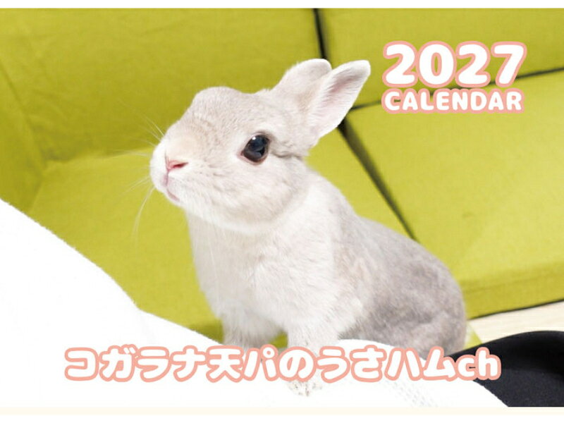 【予約販売】 コガラナ天パのうさハムch うさぎのぽぽちゃん 2027年 壁掛け カレンダー KK27229
