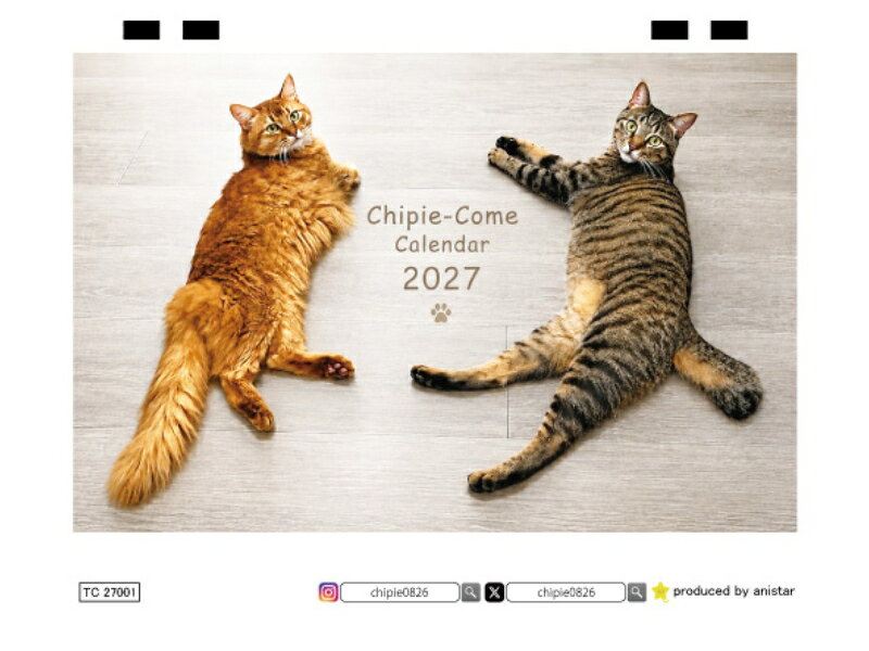 【予約販売】 しぴ＆おこめ 猫 2027年 卓上 カレンダー TC27277