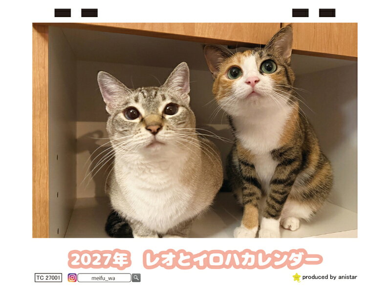 【送料無料】卓上カレンダー 【大きさ】　大きさ　180mm×145mm 【送料は無料】となります。 【包装】 価格を最小限まで抑えてファンの方に提供しておりますので包装は簡易的になります。 包装による商品の破損の場合はご連絡いただければ対応させていただきます。 --------------------------------------------- 【重要】 ●【年内に到着ご希望の場合は12月8日】までにご注文ください。 ●【印刷部数が無くなり次第終了】しますのでお早めにご注文をお待ちしております。 ●【注文後必ずメールが届いているか確認してください】（迷惑メールおよび、受信拒否されていないか確認ください。） --------------------------------------------- 【予約販売 配送時期】 ●第1回目配送● ◎［〜10月31日］までにご注文の方［11月20日］より随時発送 ●第2回目配送● ◎［11月1日〜11月30日］までにご注文の方［12月20日］より随時発送 ●第3回目配送● ◎［12月1日〜12月31日］までにご注文の方 ［年明け営業日］より随時発送 --------------------------------------------- 【配送につきまして】 ※クロネコメール便で送付しますので時間指定はできません。 ※※注意　注文前に必ずお読みください※※ ◎スマホ等の携帯メールアドレスですと返信メールが届かない場合がございます。 ◎住所は必ず間違えないように最後までご記載ください。 ●再配送の場合は別途送料200円がかかります。 ◎配送時に引っ越しなどをされた場合はクロネコメールですので必ず追跡をご確認いただき直接クロネコヤマトにご連絡ください。【予約販売 配送時期】 ●第1回目配送● ◎［〜10月31日］までにご注文の方［11月20日］より随時発送 ●第2回目配送● ◎［11月1日〜11月30日］までにご注文の方［12月20日］より随時発送 ●第3回目配送● ◎［12月1日〜12月31日］までにご注文の方 ［年明け営業日］より随時発送