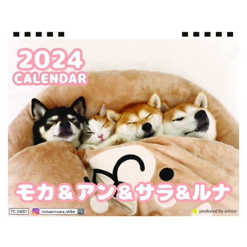  柴犬 モカ＆アン＆サラ 2024年 卓上 カレンダー TC24210