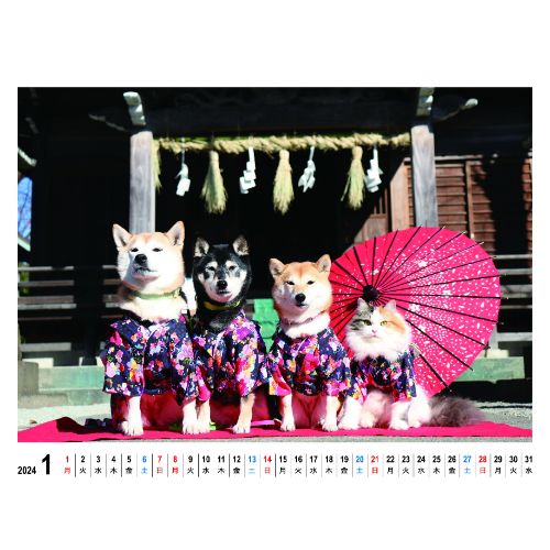 【予約販売】 柴犬 モカ&アン&サラ 2024...の紹介画像2