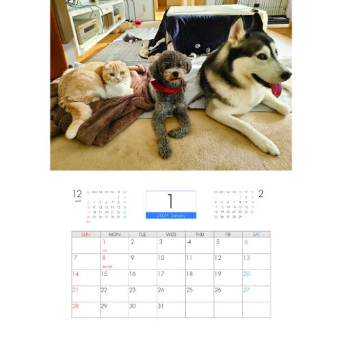 【予約販売】 犬と猫の親バカ日記 2024年 ...の紹介画像2