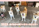 【予約販売】 柴犬みかん園ファミリー 2025年 壁掛け カレンダー KK25218(3)