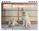 【予約販売】 柴犬の春子&福 2025年 卓上半面 カレンダー TC25232(3)