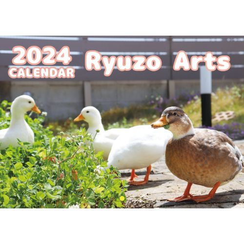 【予約販売】 アヒル Ryuzo Arts 2024年 壁掛け カレンダー KK24238