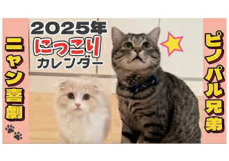  猫のにゃろめっこ 2024年 ポケット スケジュール帳 PO24253