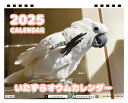 【予約販売】 ハムスターちゃんねる 2024年 壁掛け カレンダー KK24270