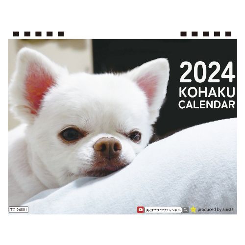 【予約販売】 犬のあくまでチワワチャンネル 2024年 卓上 カレンダー TC24273