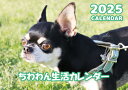 【予約販売】 チワワ犬のちわわん生活 2024年 ポケットサイズ スケジュール帳 PO24028