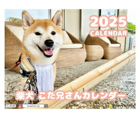 【予約販売】 カニンヘンダックスフンド犬のAmu 2024年 壁掛け カレンダー KK24280